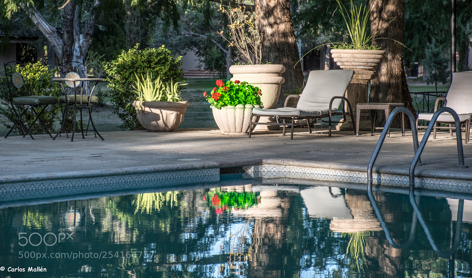 Nikon D5500 sample photo. Reflejos en parras de photography
