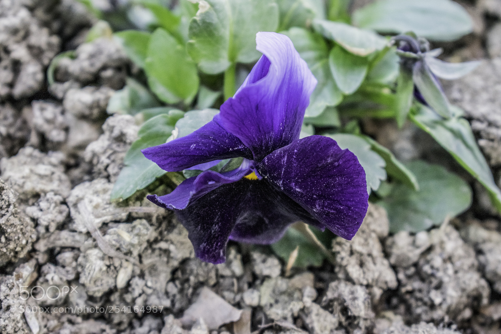 Nikon D3300 sample photo. 0785_01.jpg photography