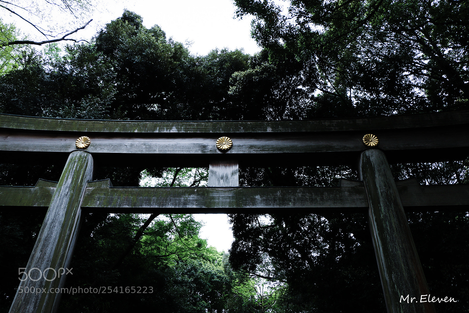 Canon EOS 70D sample photo. 代代木 photography