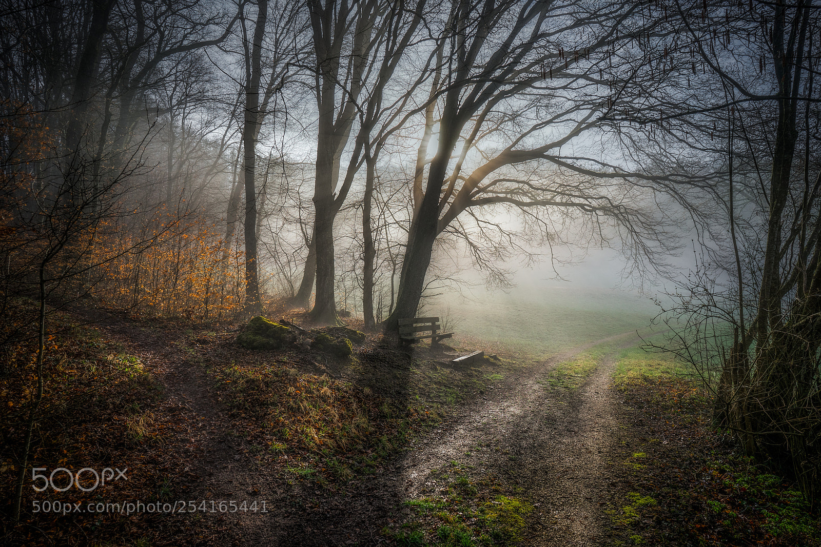 Sony a7 sample photo. Wald photography