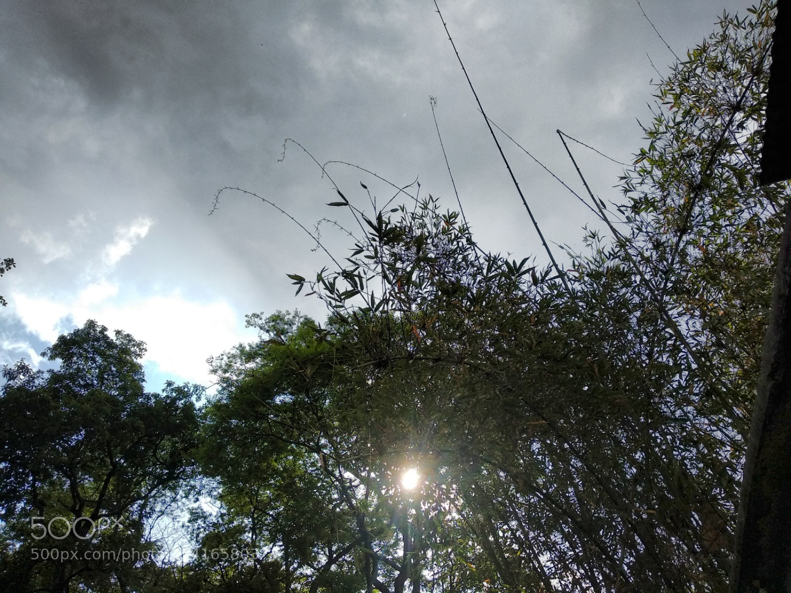 Xiaomi Mi A1 sample photo. *** photography