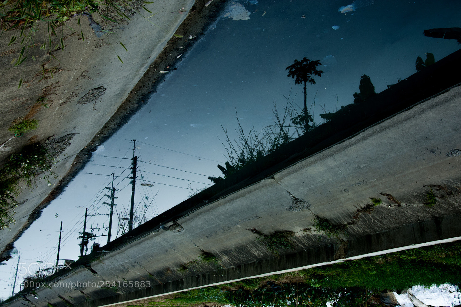 Nikon D70s sample photo. Water pollution photography