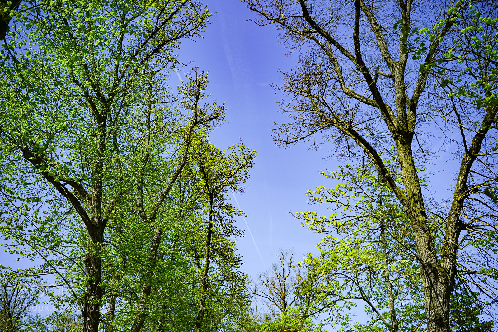 Sony a7 sample photo. Untitled photography
