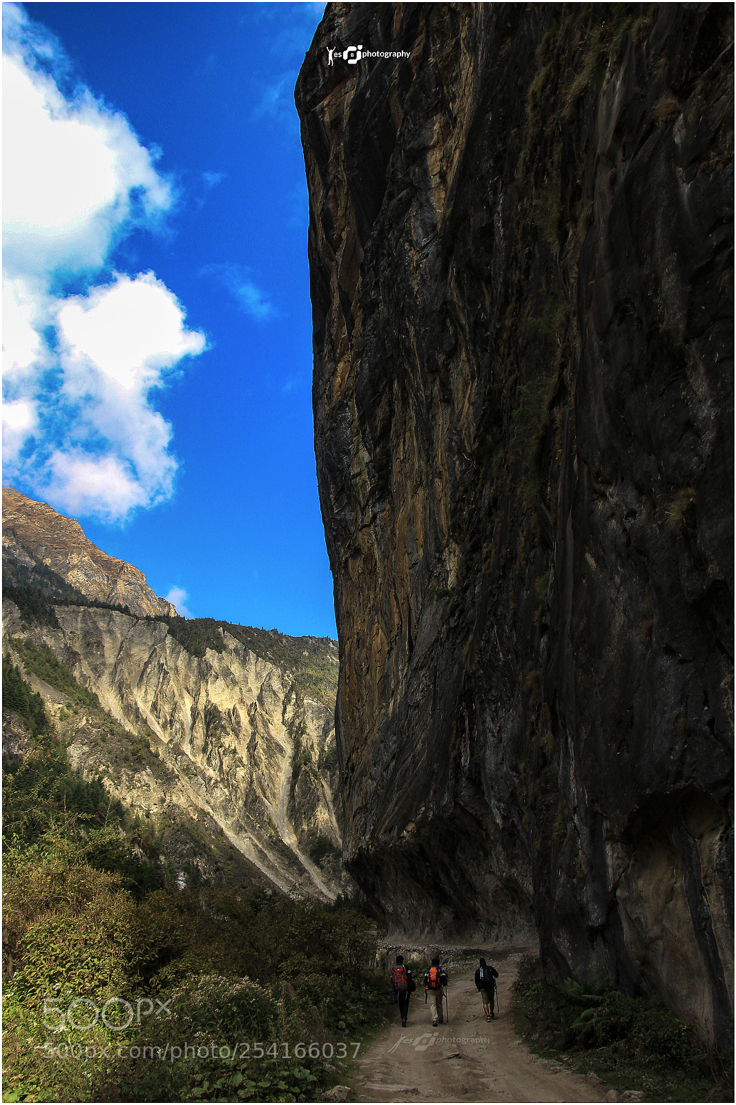 Canon EOS 700D (EOS Rebel T5i / EOS Kiss X7i) sample photo. Way to manang photography