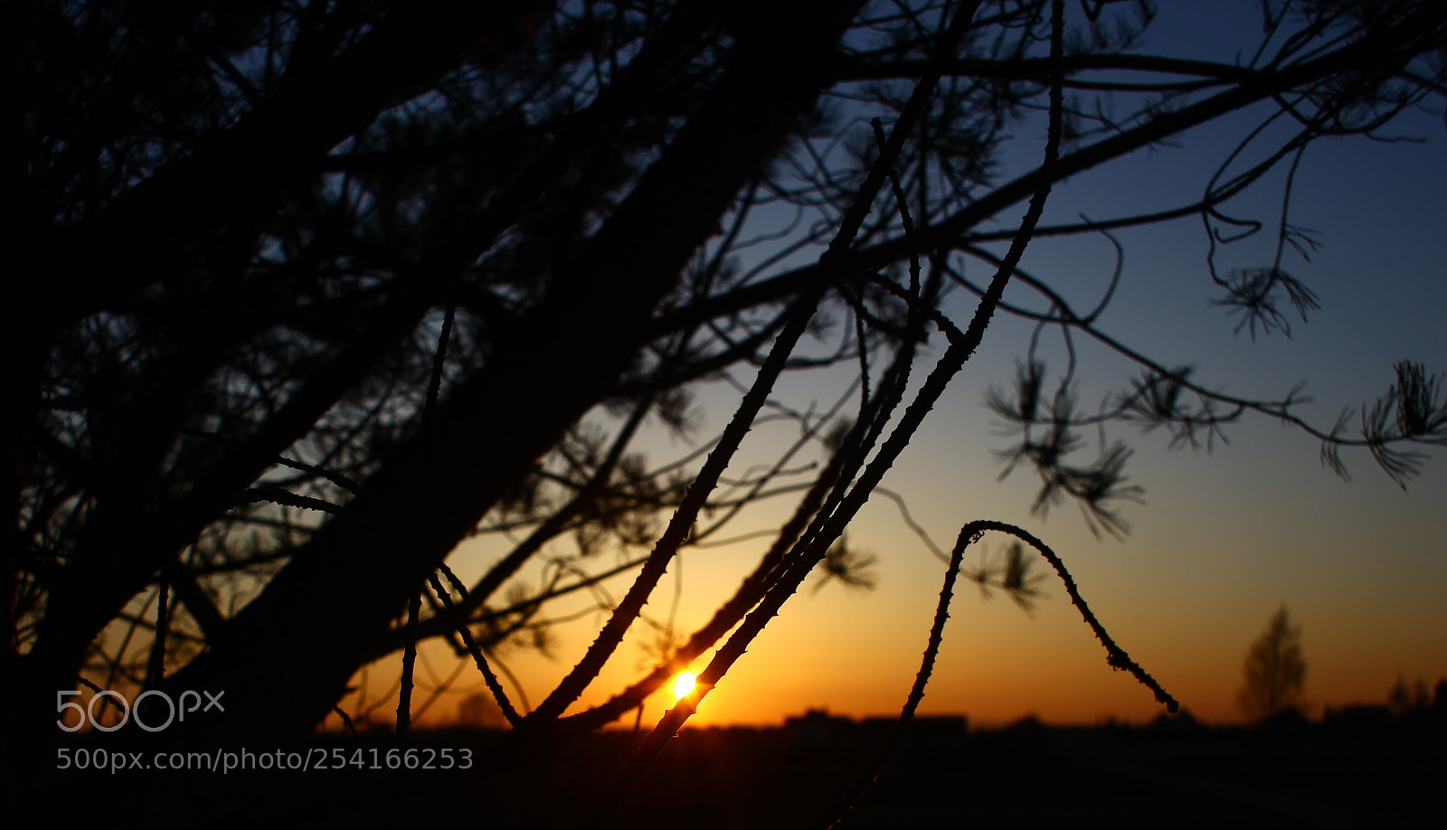 Canon EOS 5D Mark II sample photo. Gawrych ruda's sunshine photography