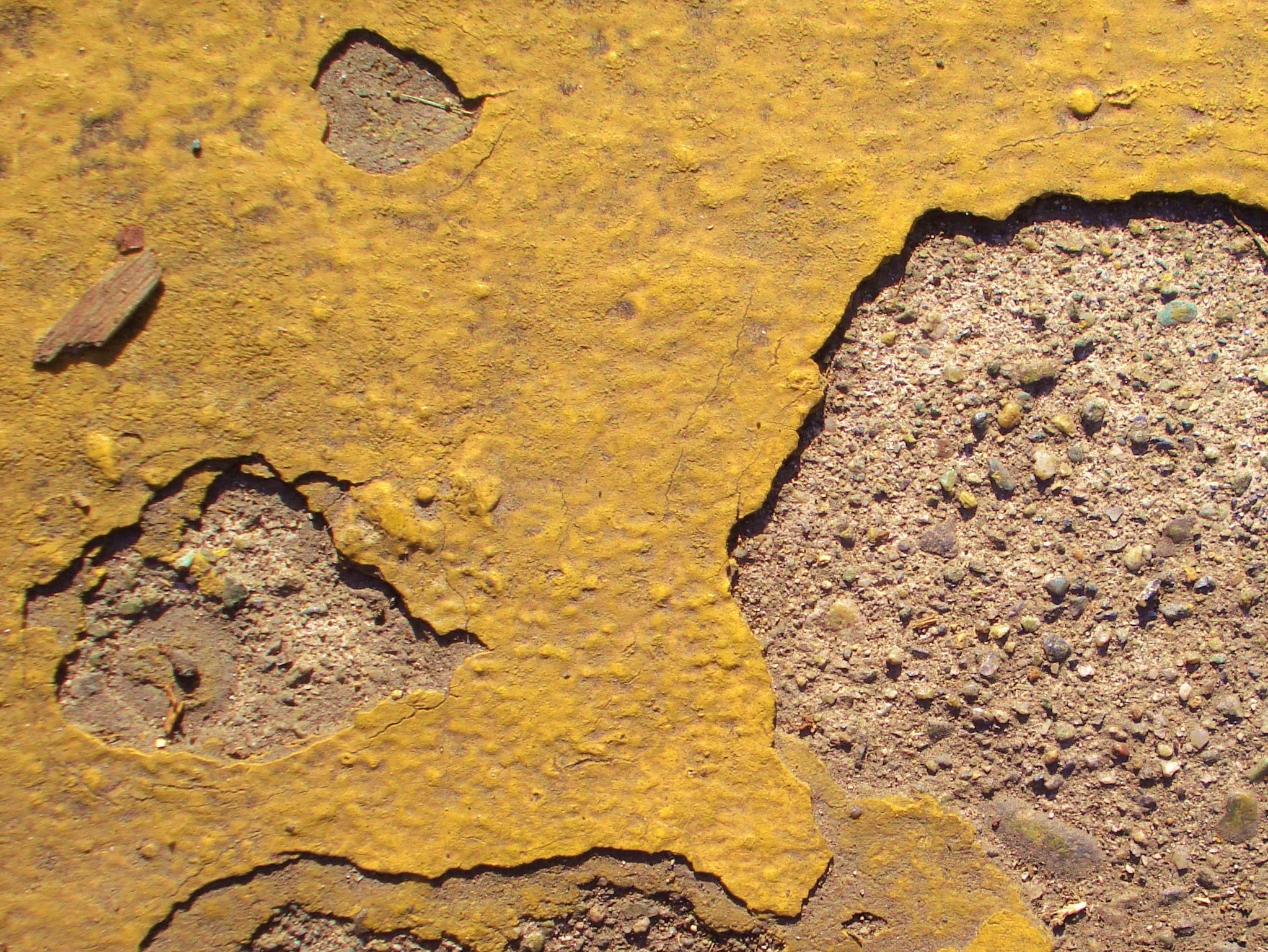 Sony DSC-W55 sample photo. Gold rush photography