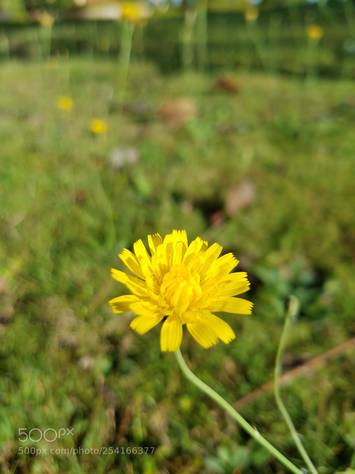 Samsung Galaxy S7 sample photo. Untitled photography