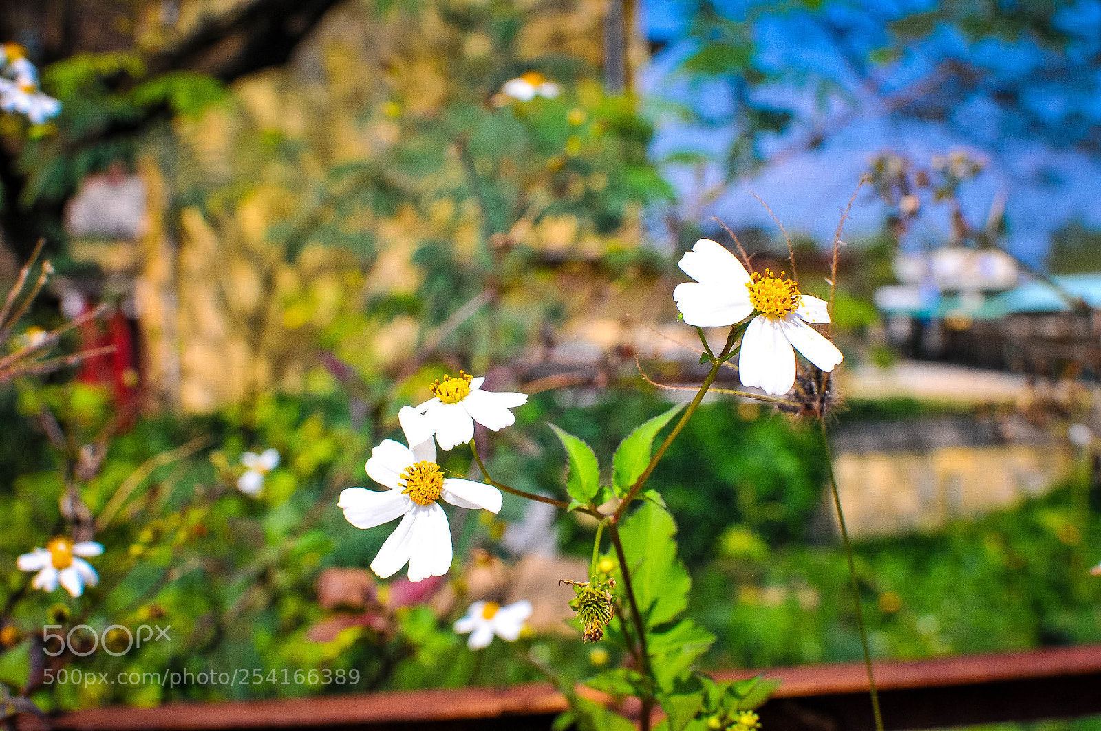 Nikon D300 sample photo. Untitled photography