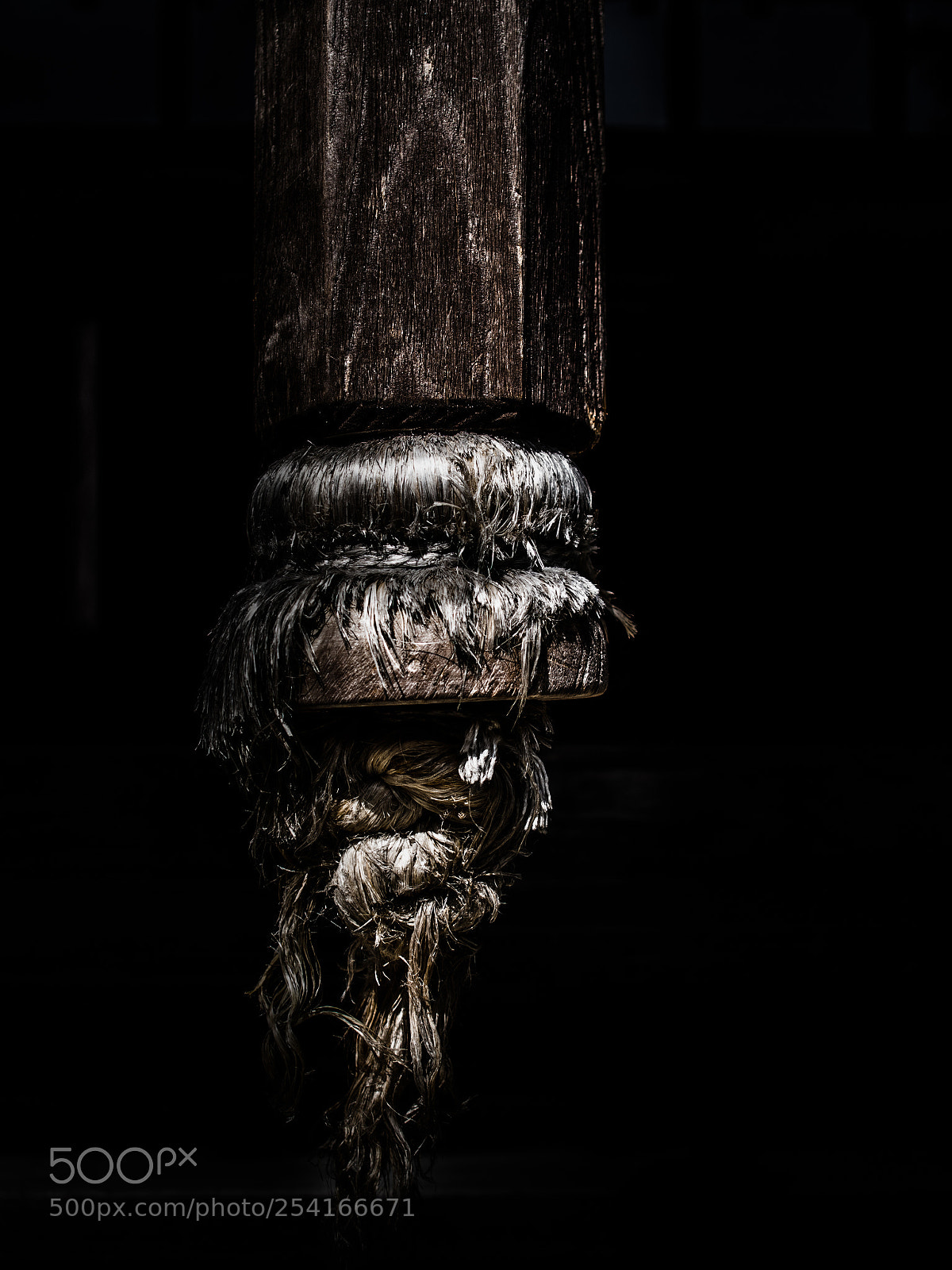 Olympus PEN E-PL6 sample photo. Noli me tangere photography