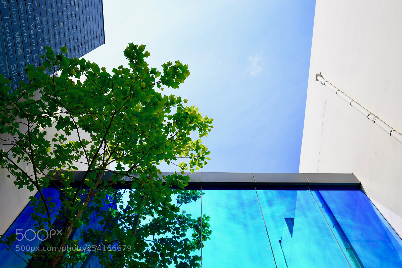Nikon D610 sample photo. 明日 photography