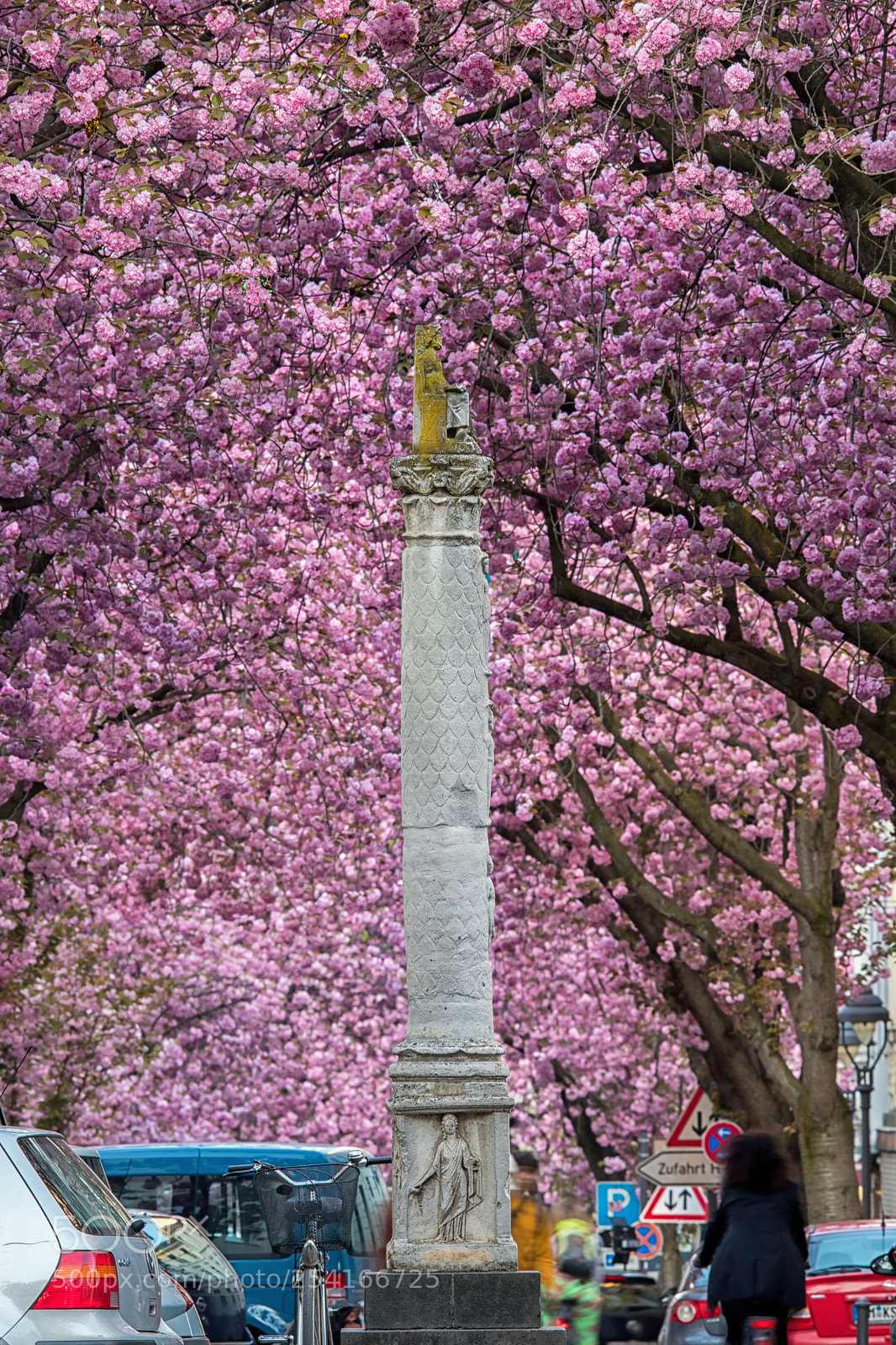 Canon EOS 80D sample photo. Cherry blossom photography