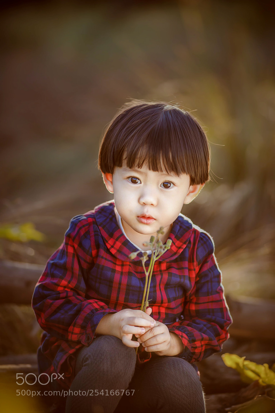 Canon EOS 5D Mark IV sample photo. Untitled photography