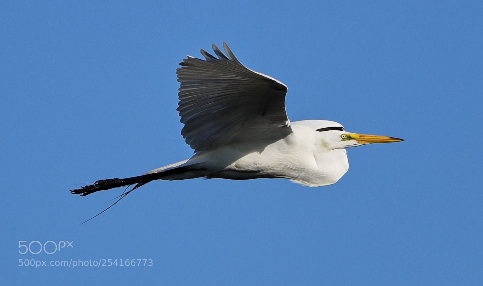 Canon EOS-1D X Mark II sample photo. 04-18-18-0013316.jpg photography