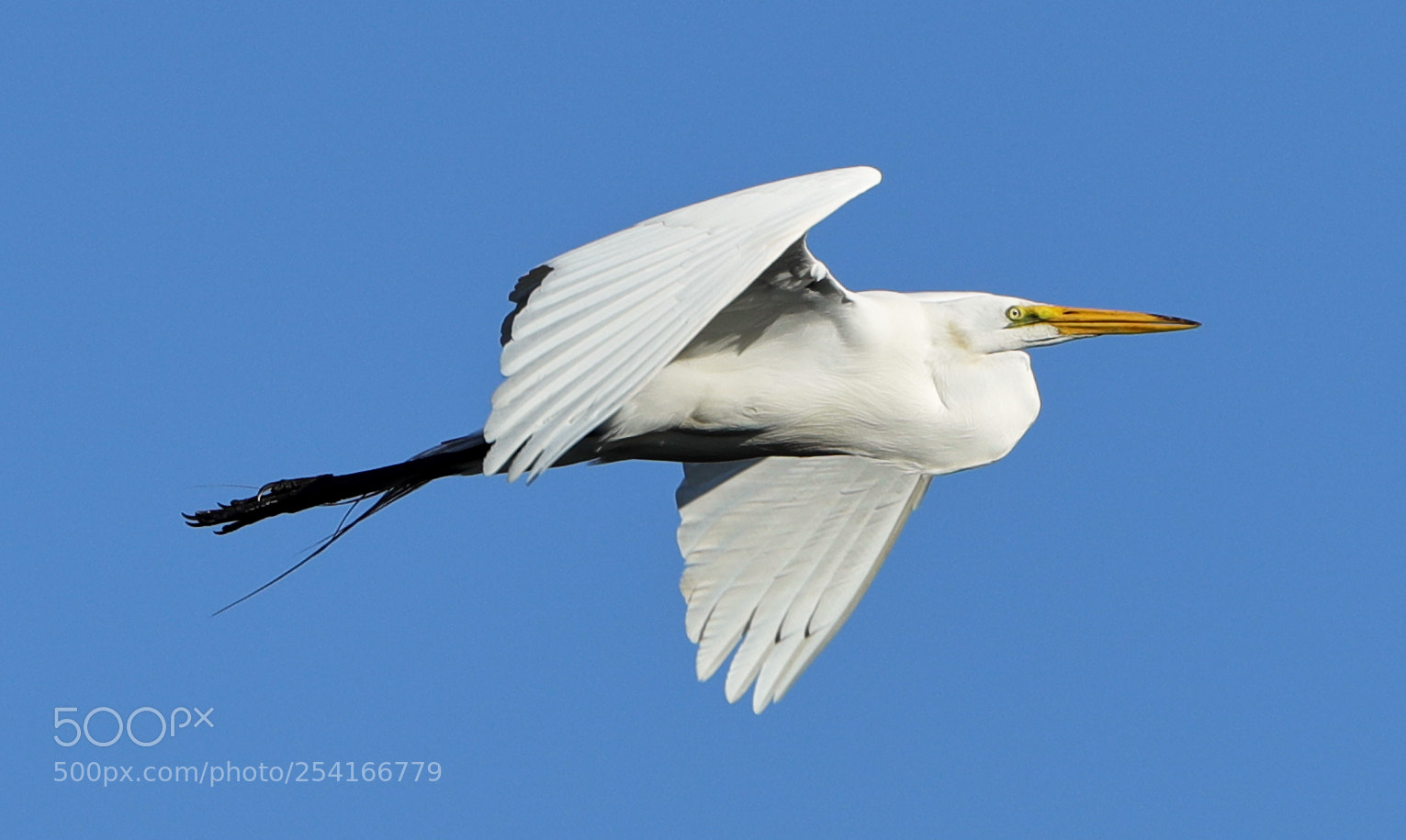 Canon EOS-1D X Mark II sample photo. 04-18-18-0013315.jpg photography