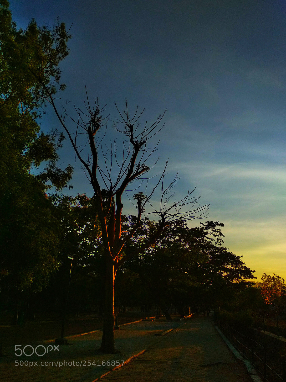 Xiaomi Redmi 4 Pro sample photo. Untitled photography