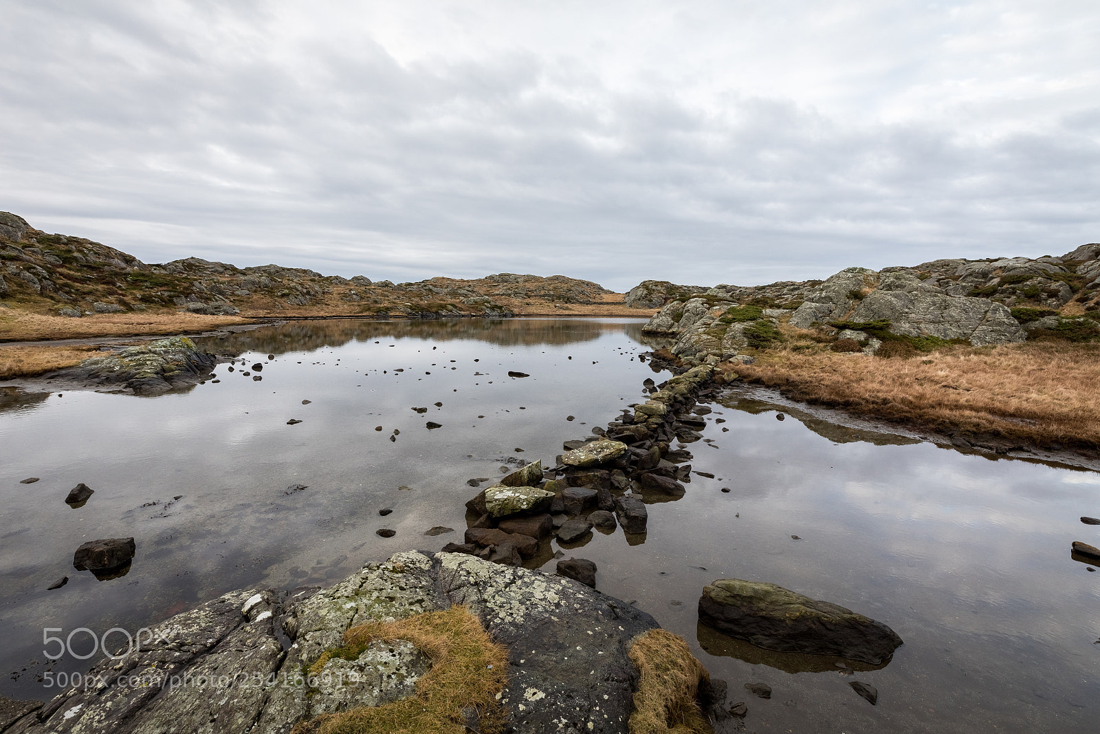 Canon EOS 5D Mark IV sample photo. Pond by the trail photography