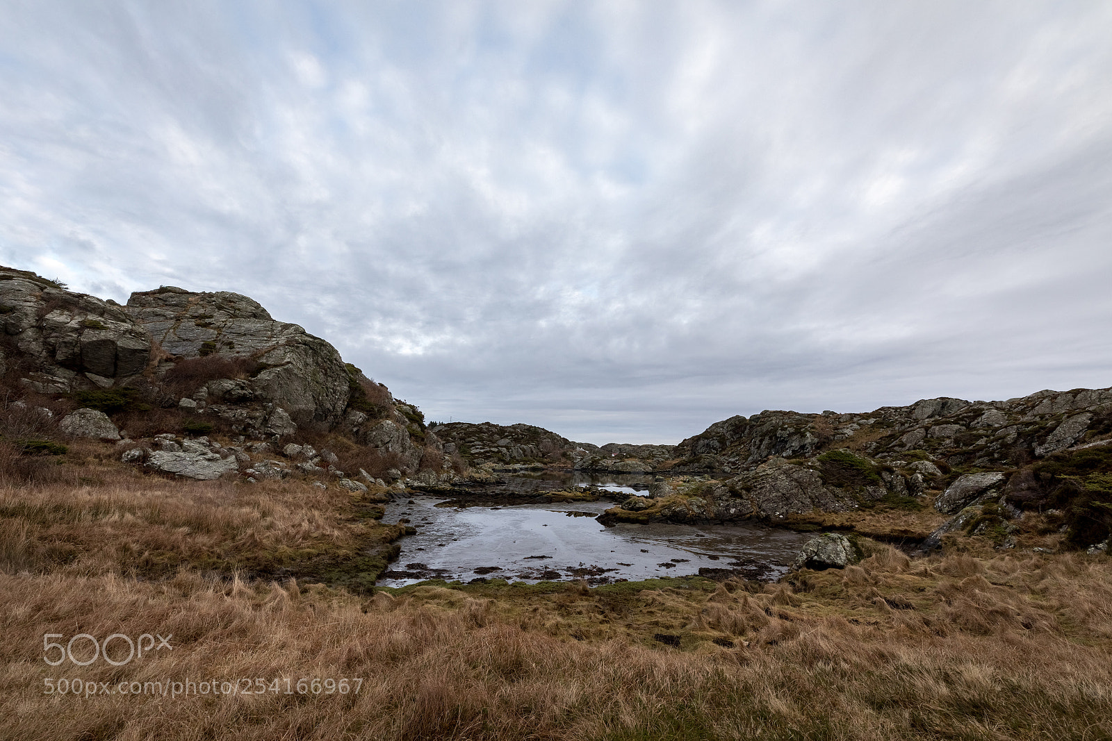 Canon EOS 5D Mark IV sample photo. Pond by the trail photography