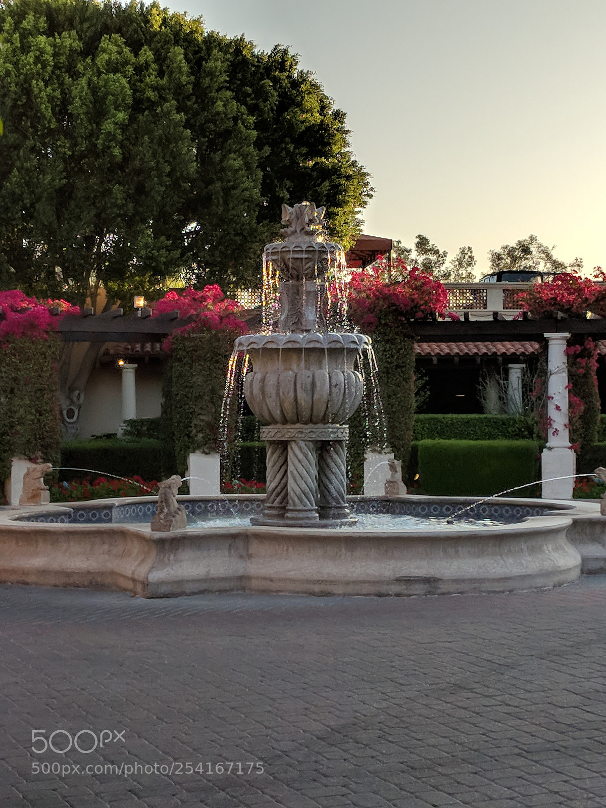 Google Pixel XL sample photo. Mccormick ranch, scottsdale az photography