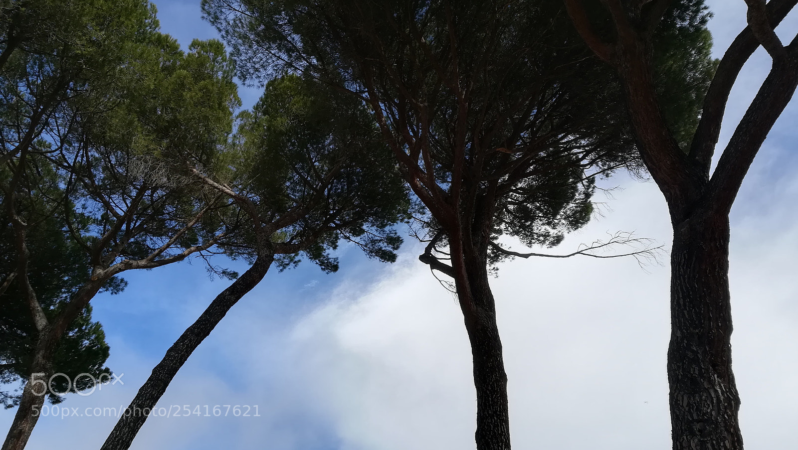 HUAWEI PRA-LX1 sample photo. Mistic cloud ii photography