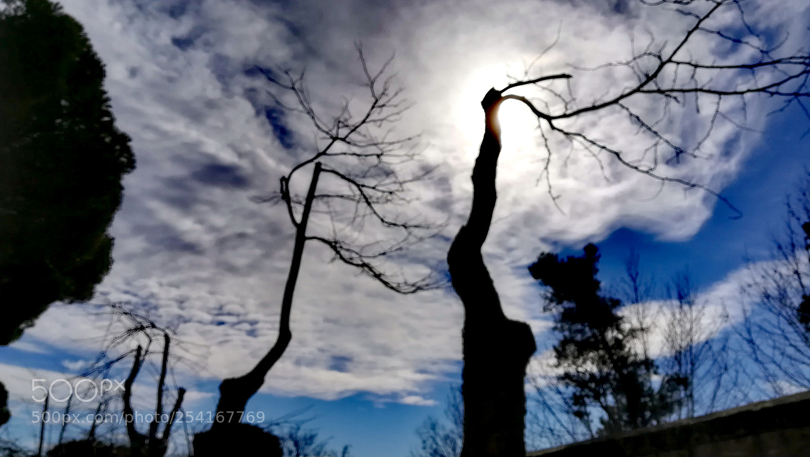 HUAWEI PRA-LX1 sample photo. Mistic cloud iii photography
