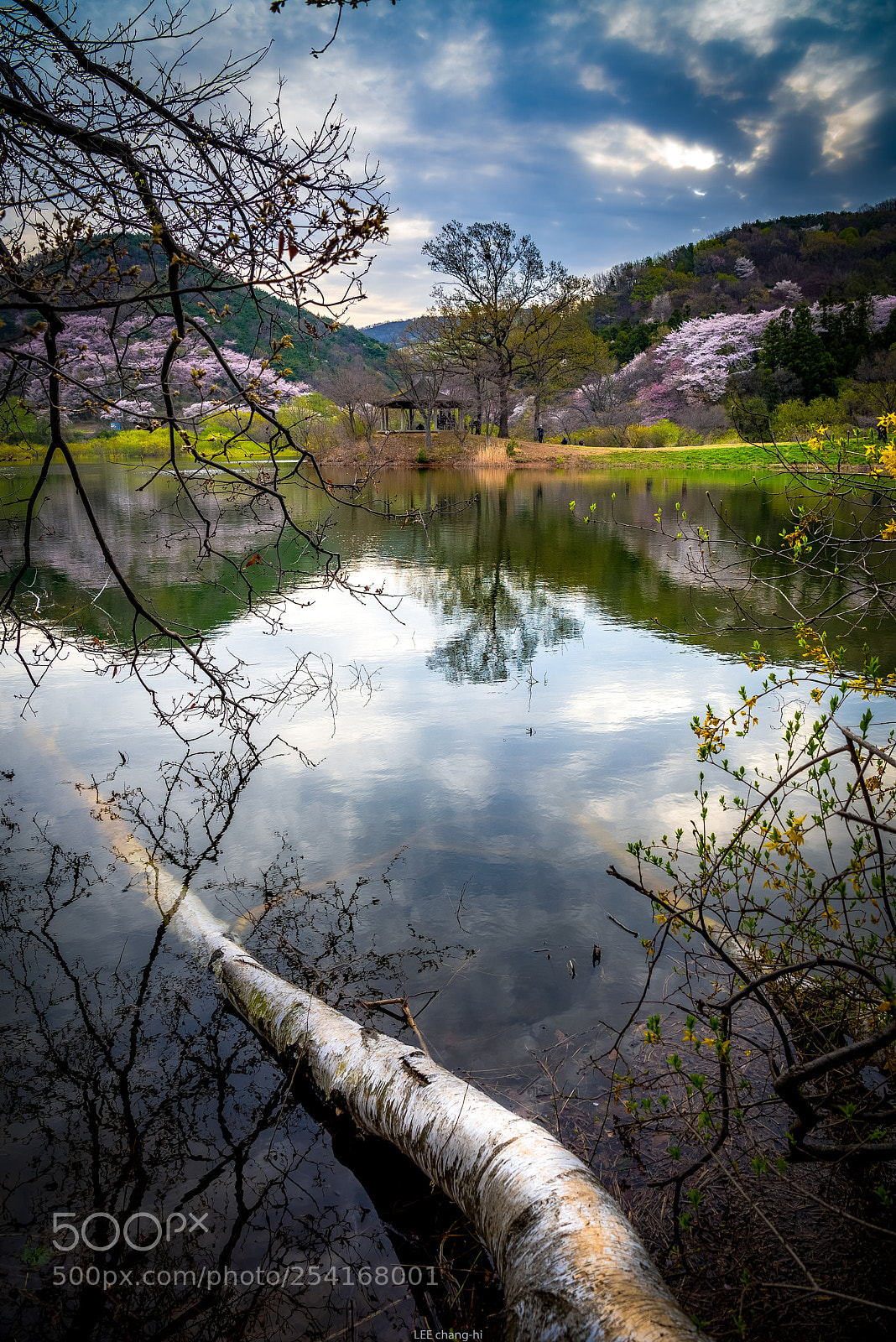 Nikon D810 sample photo. Spring colors photography