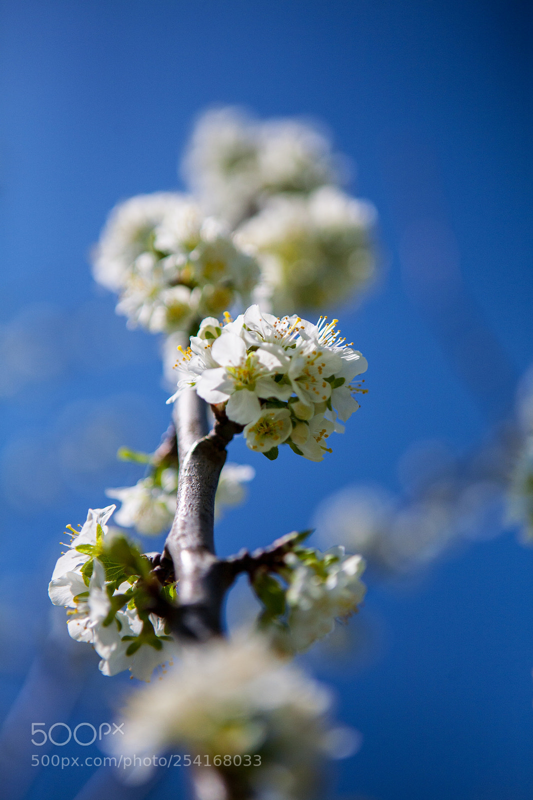 Canon EOS 5D sample photo. Life photography