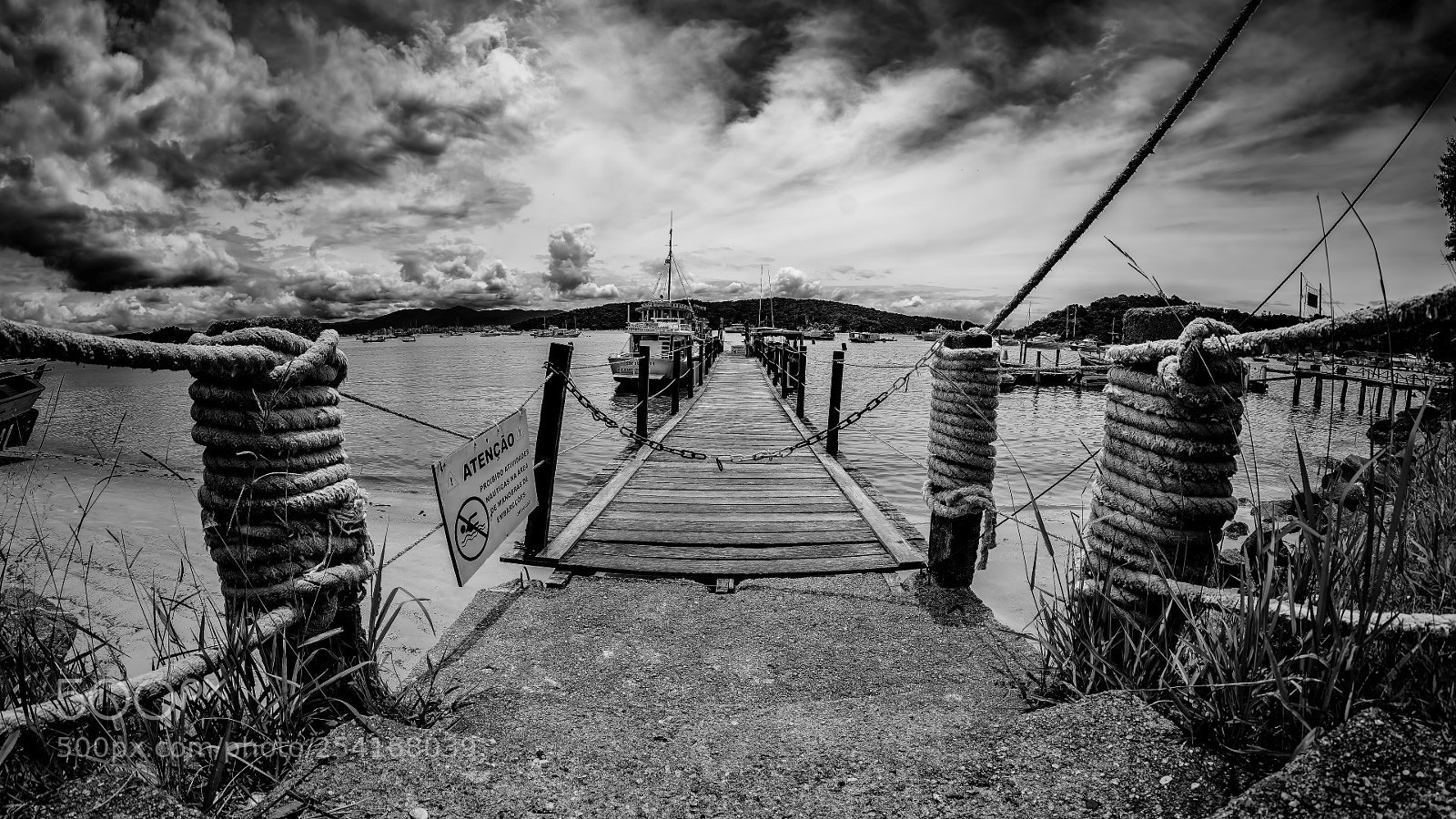 Nikon D7100 sample photo. Dock in b&w photography