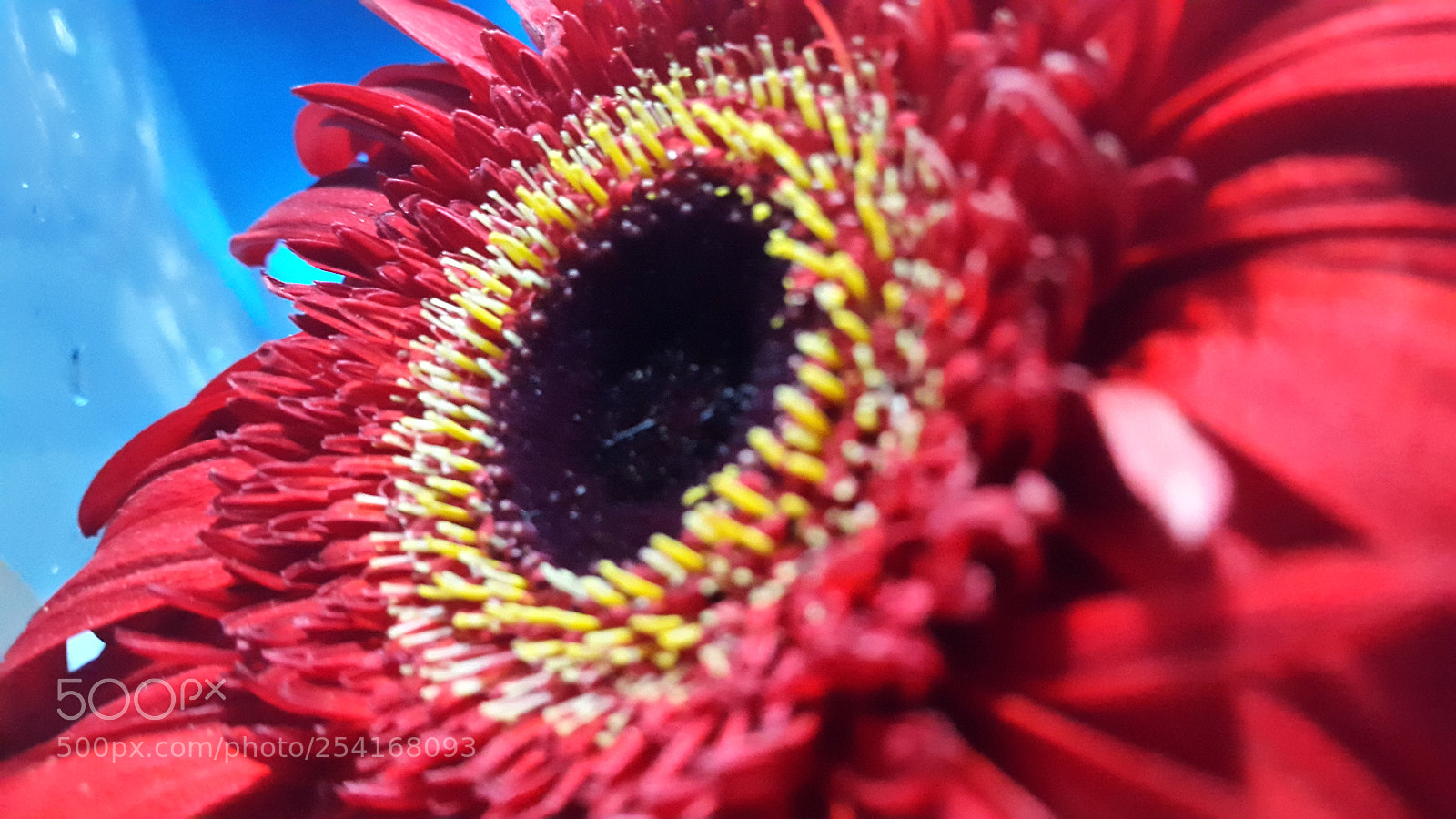 Samsung Galaxy S5 sample photo. Untitled photography