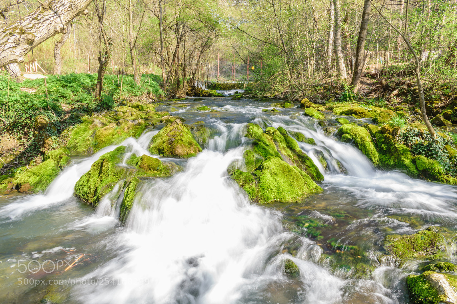 Nikon D3300 sample photo. Kotelshnitca photography