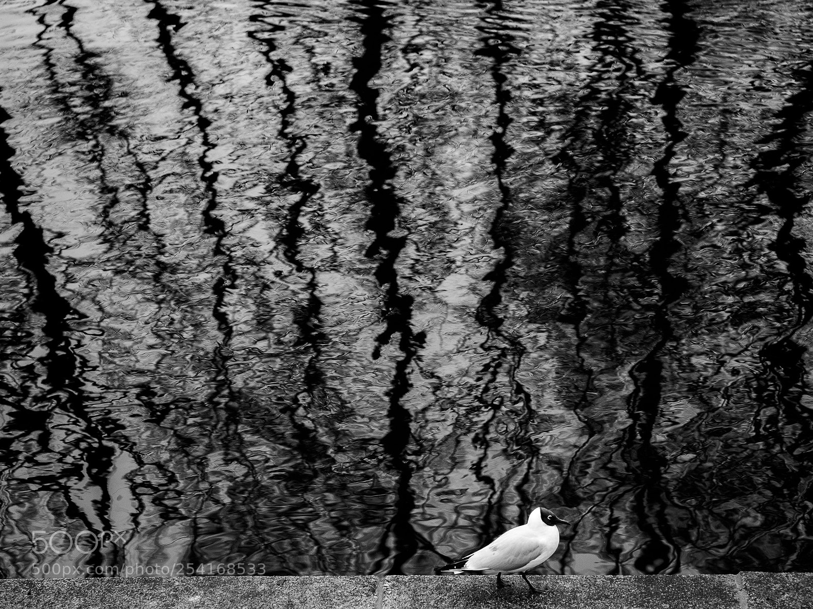 Olympus OM-D E-M1 sample photo. Pedestrian photography