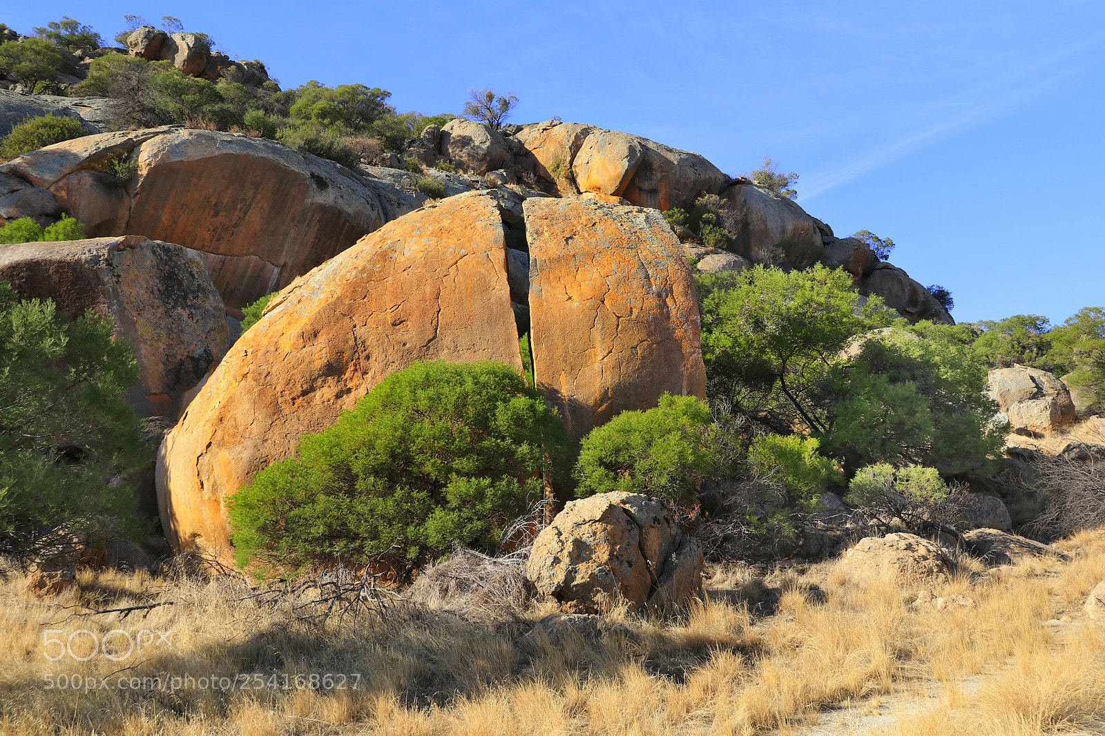 Canon EOS 80D sample photo. Split egg rock photography