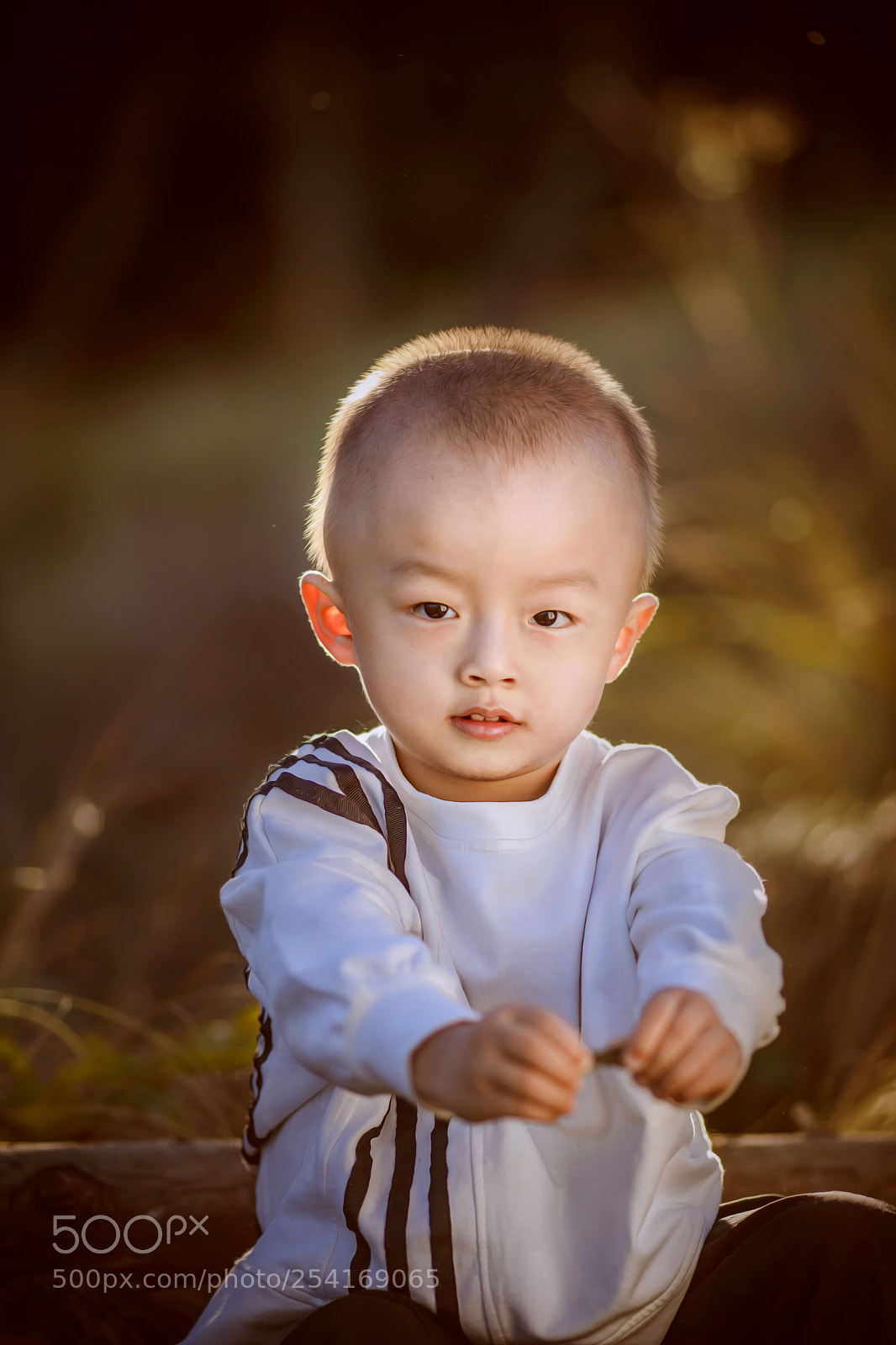 Canon EOS 5D Mark IV sample photo. Untitled photography