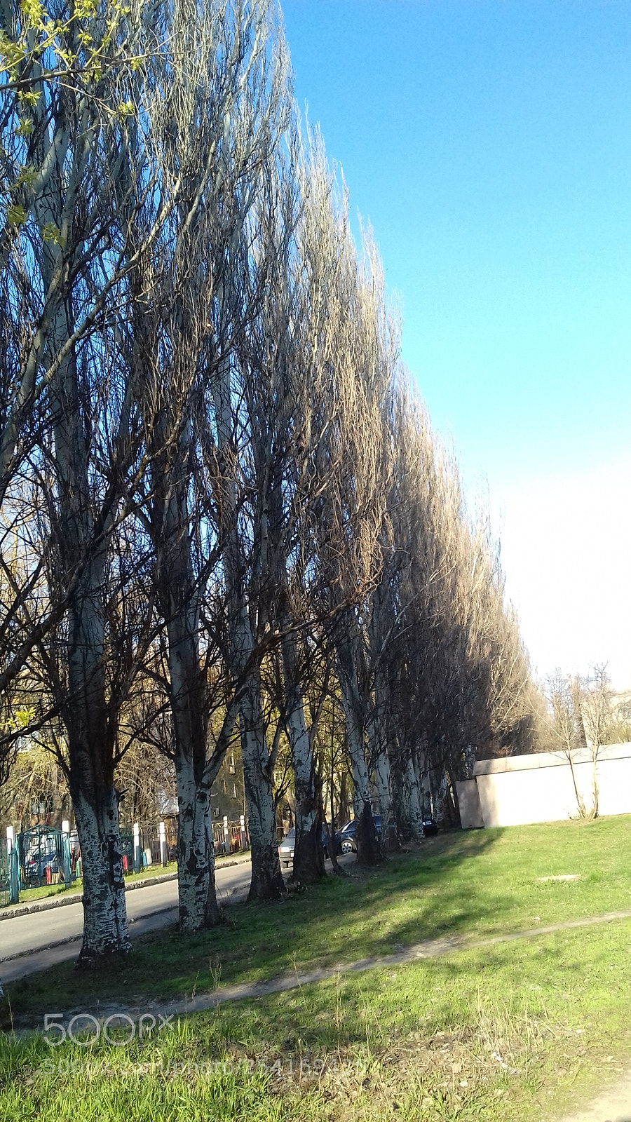 Samsung Galaxy J3(2016) sample photo. Spring.jpg photography