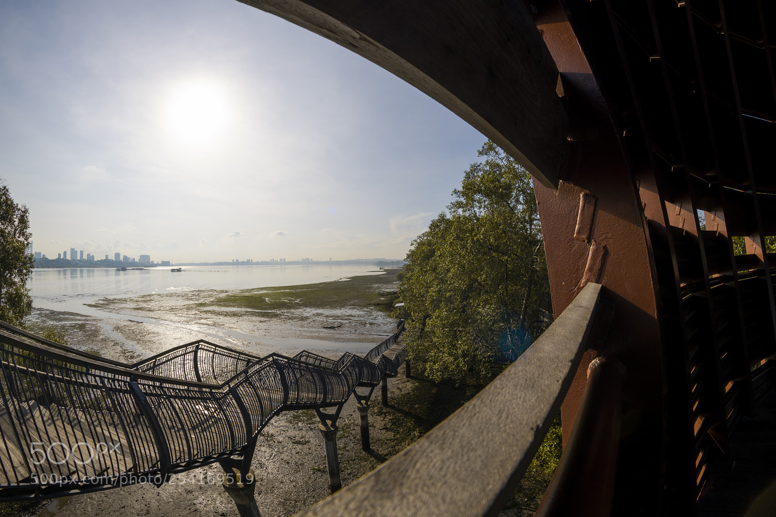 Nikon D850 sample photo. Sungei buloh wetland reserve photography