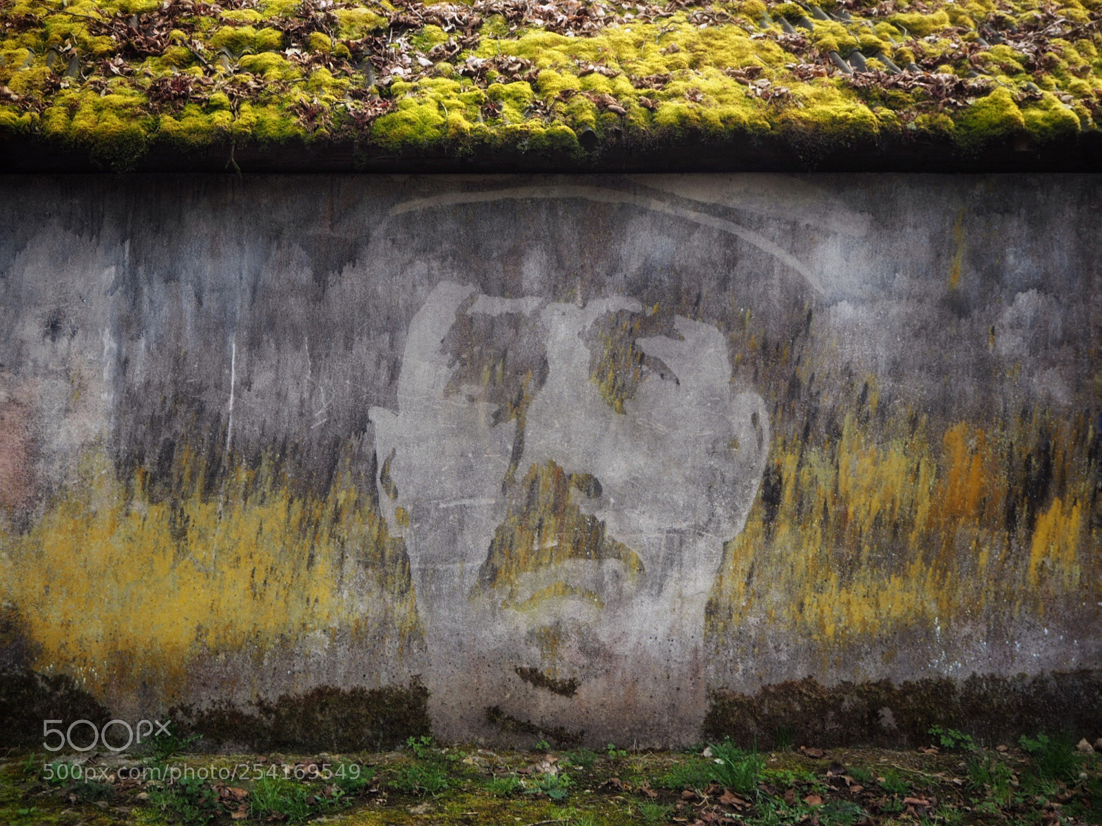 Olympus OM-D E-M10 sample photo. The wall photography