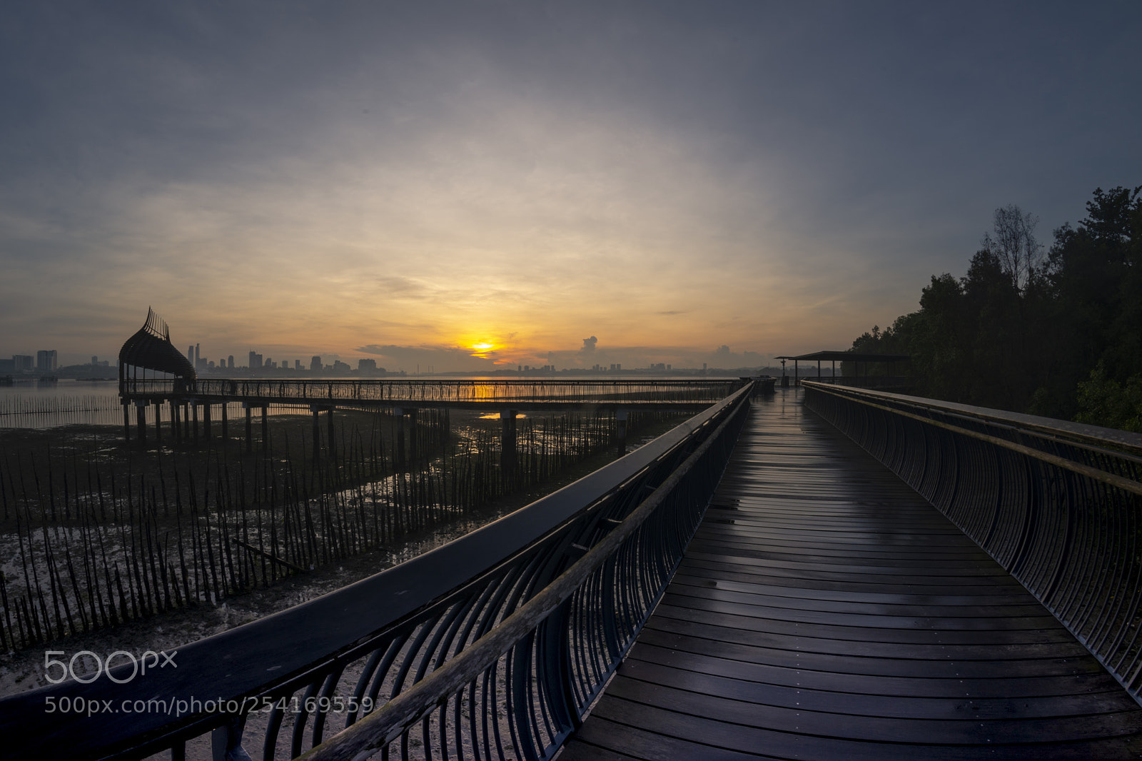 Nikon D850 sample photo. Sungei buloh wetland reserve photography