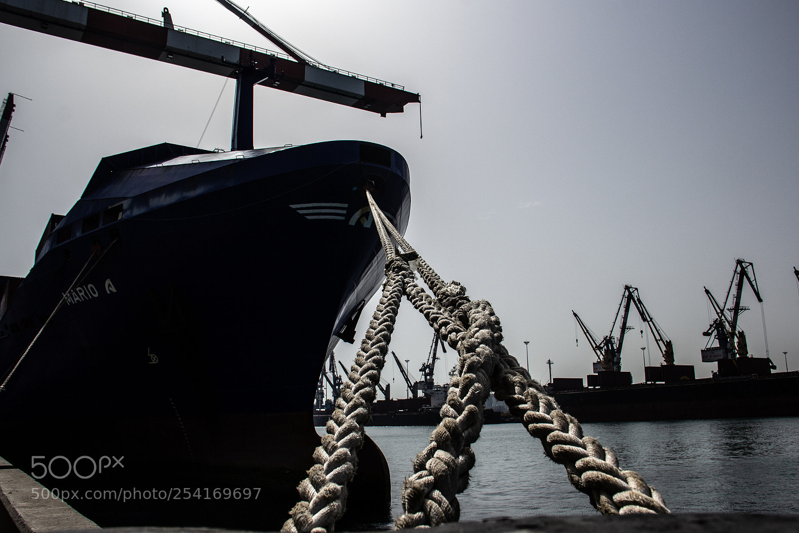 Canon EOS 60D sample photo. Untitled photography