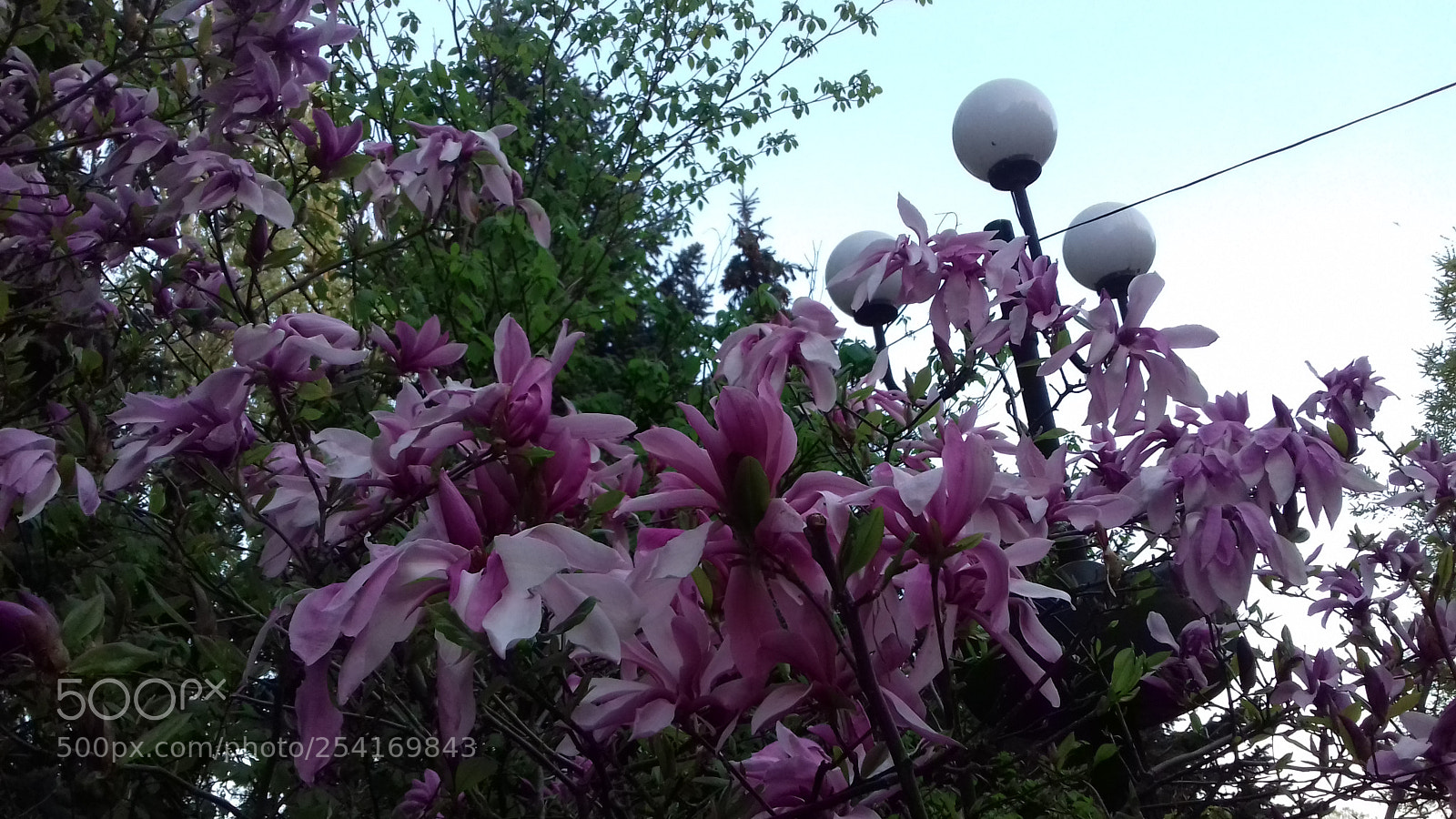 Samsung Galaxy J3(2016) sample photo. 20170501_191745.jpg photography