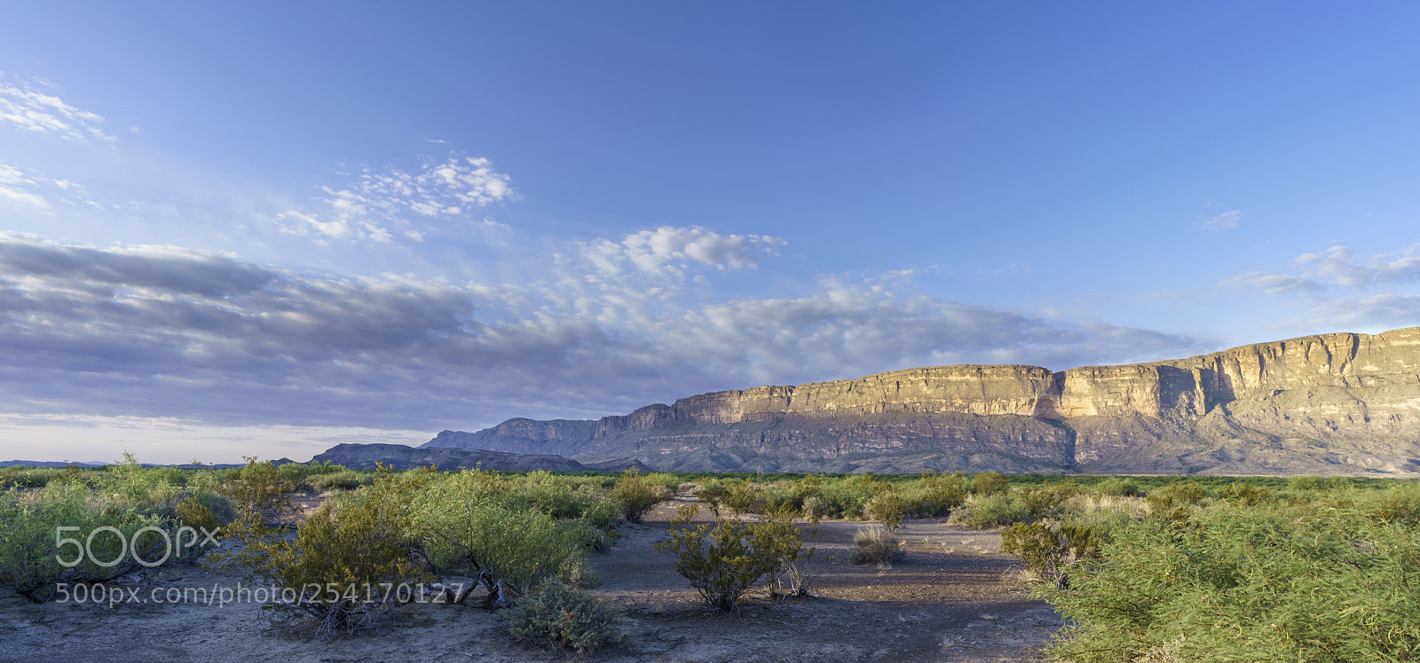 Sony a7R III sample photo. Big bend national park photography
