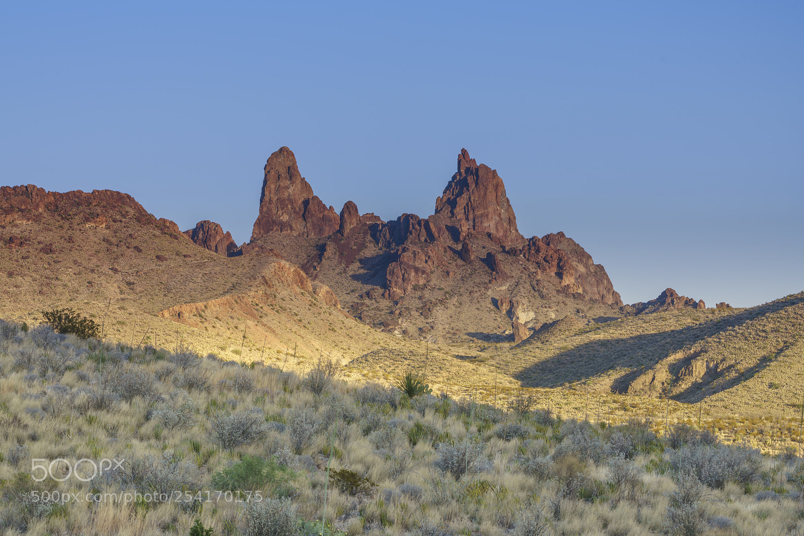 Sony a7R III sample photo. Mule's ears, big bend photography