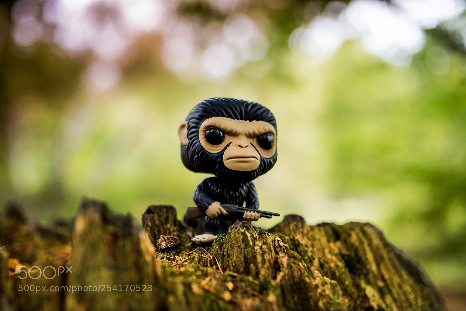 Nikon D810 sample photo. Leave us the woods photography