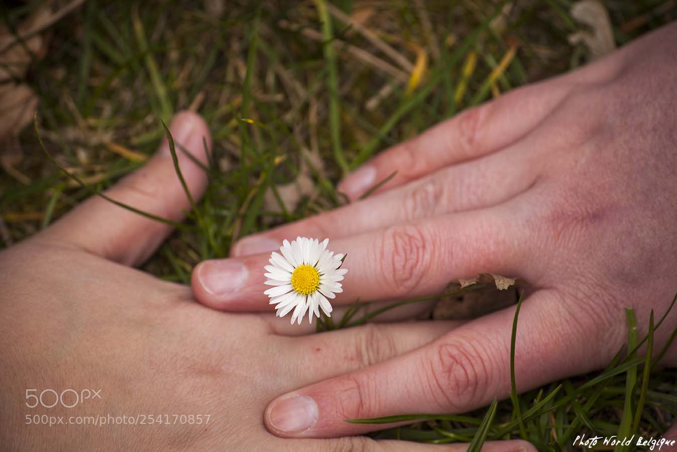 Canon EOS 5D Mark II sample photo. The love photography