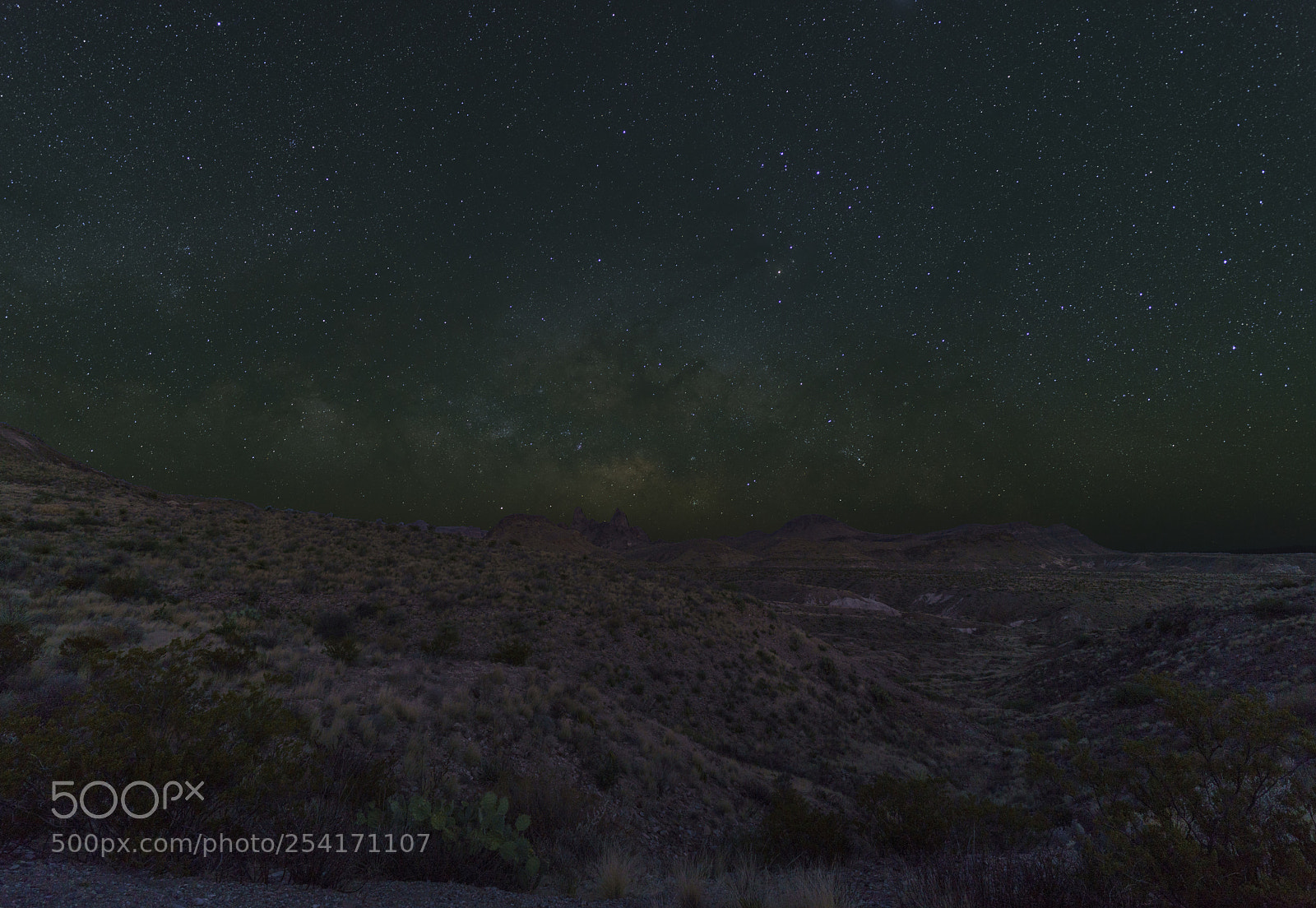 Sony a7R III sample photo. Mule ears composite photography