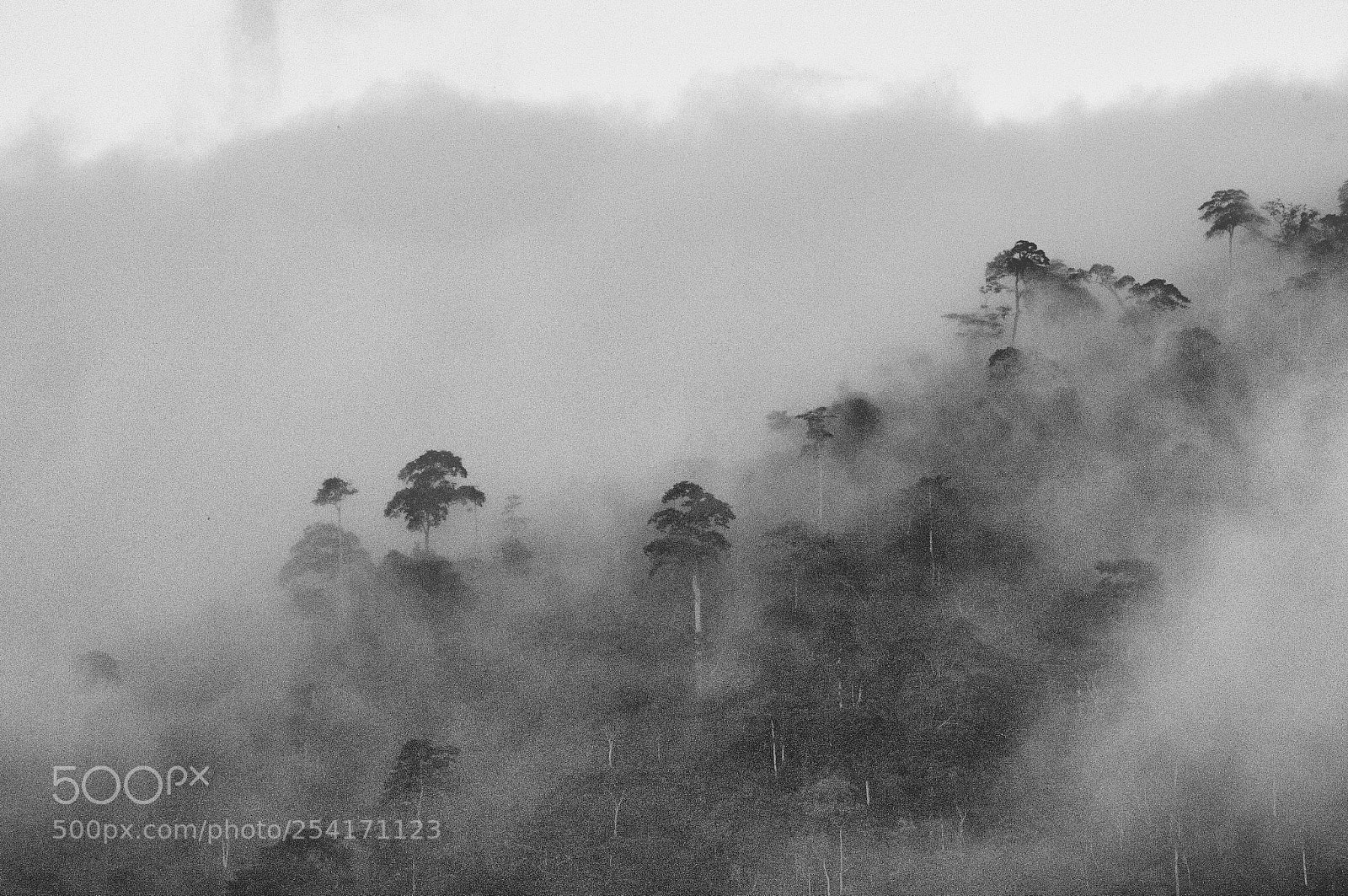 Pentax K-50 sample photo. Cameroun - mont f photography
