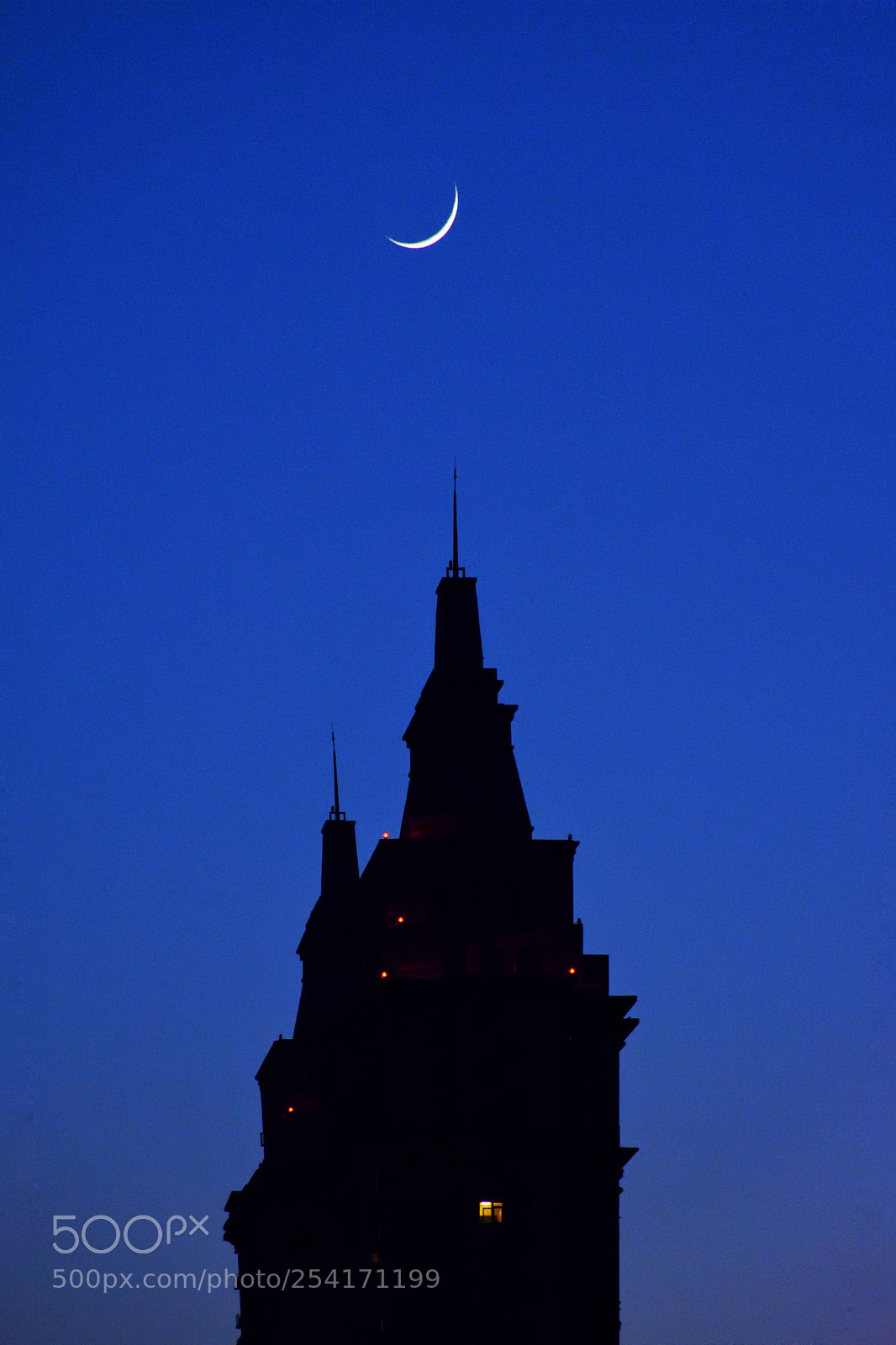 Nikon D7200 sample photo. 月 photography