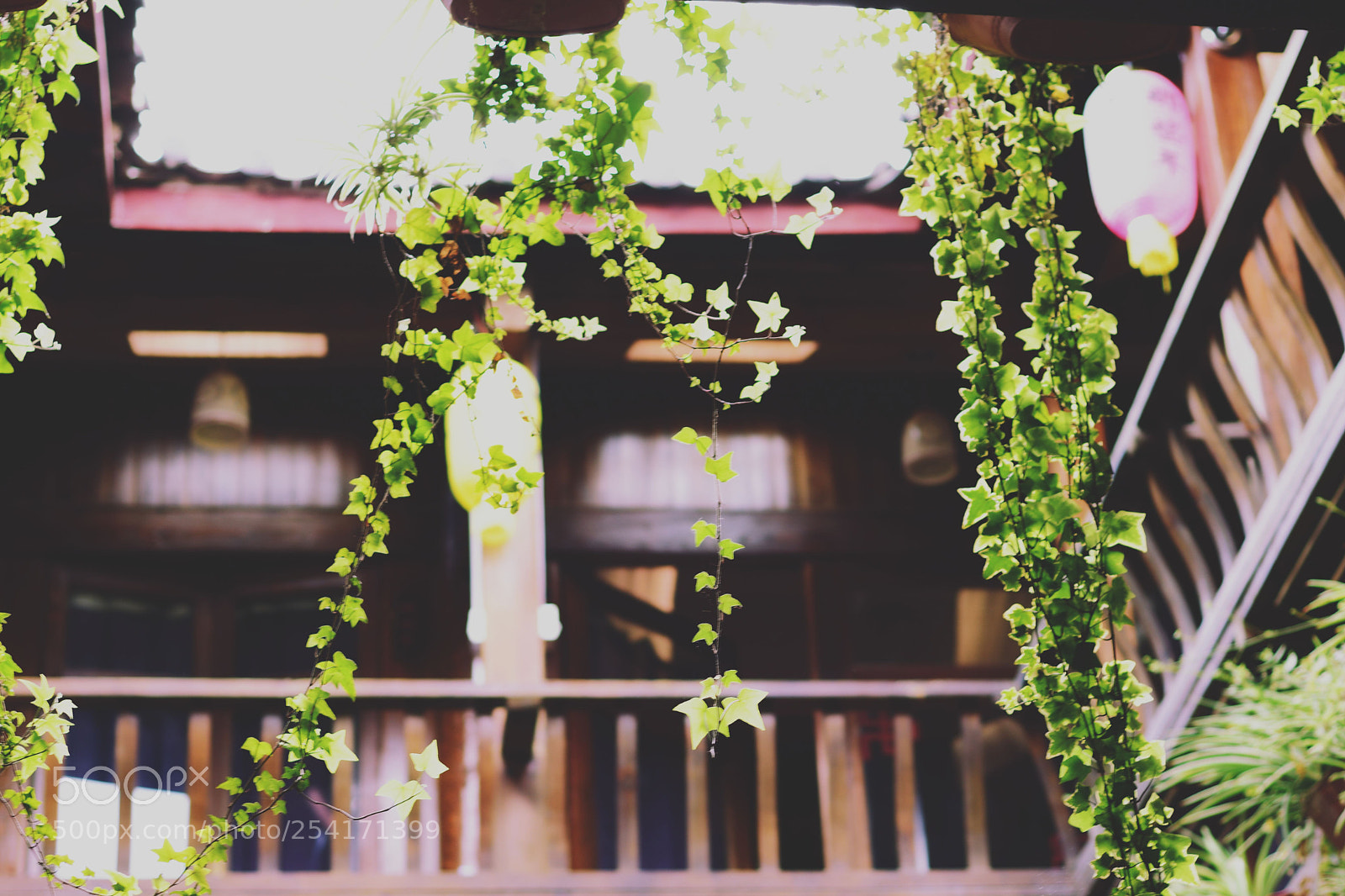 Nikon D7200 sample photo. 一个客栈 photography