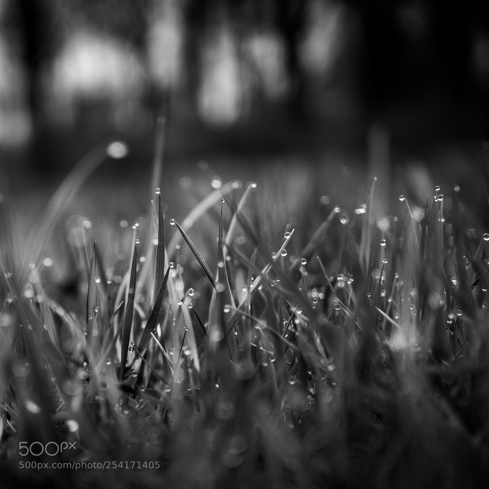 Sony a6000 sample photo. More drops... photography