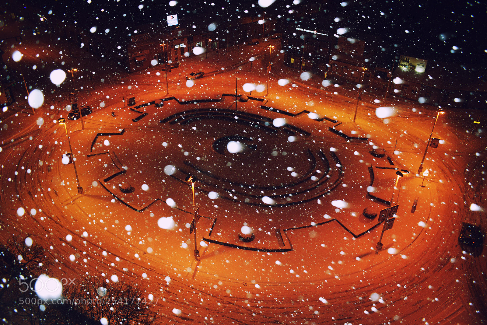 Nikon D5300 sample photo. Untitled photography
