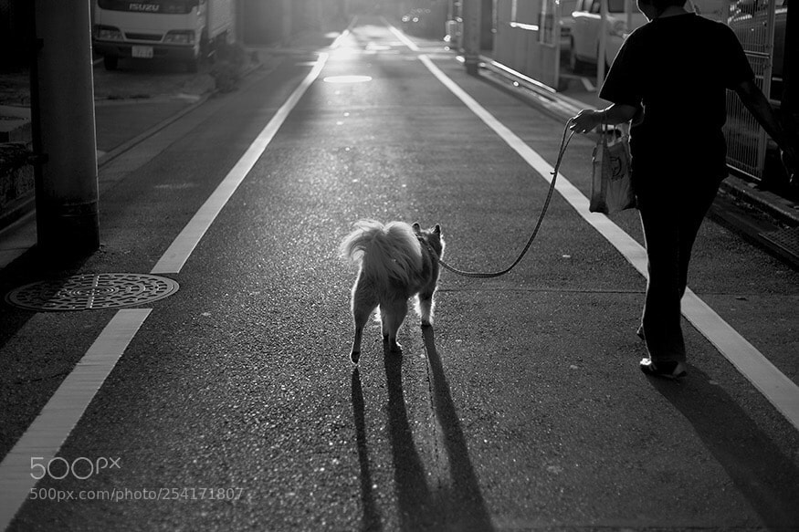 Canon EOS 5D Mark II sample photo. Morning photography