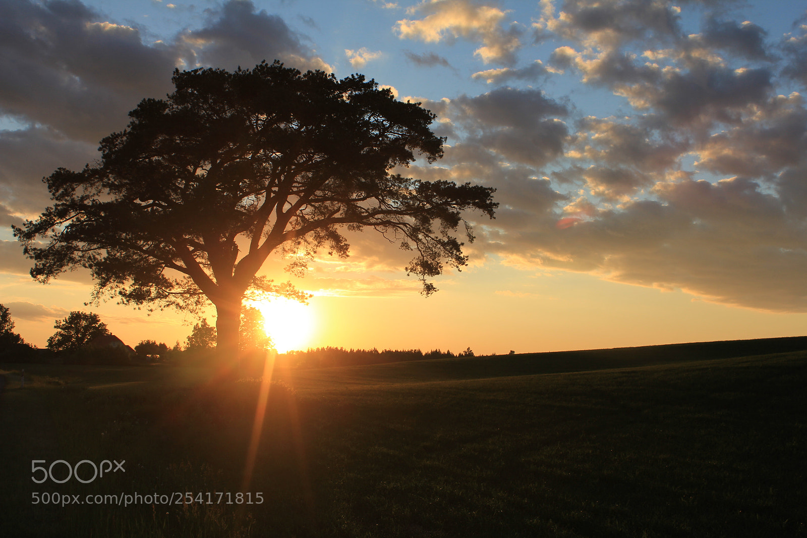 Canon EF-S 18-55mm F3.5-5.6 IS sample photo. Lonely tree photography